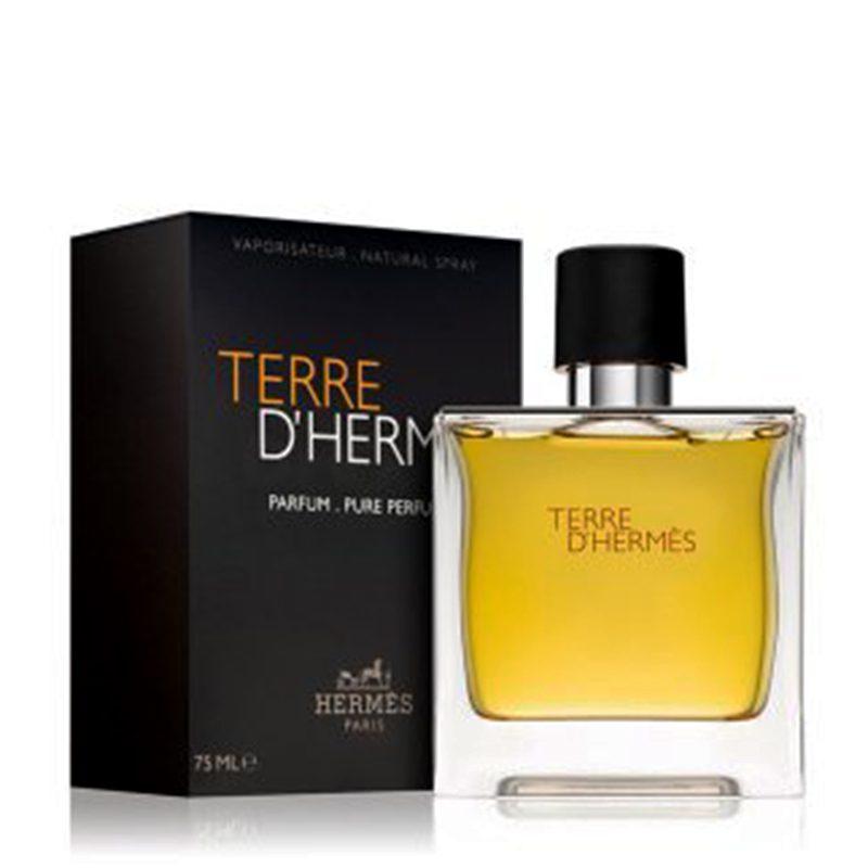 عطر ادکلن مردانه هرمس مدل Terre D Hermes