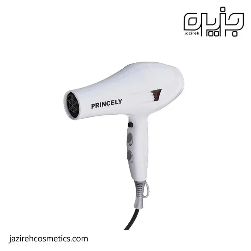 سشوار 2400 وات پرنسلی مدل PR 249